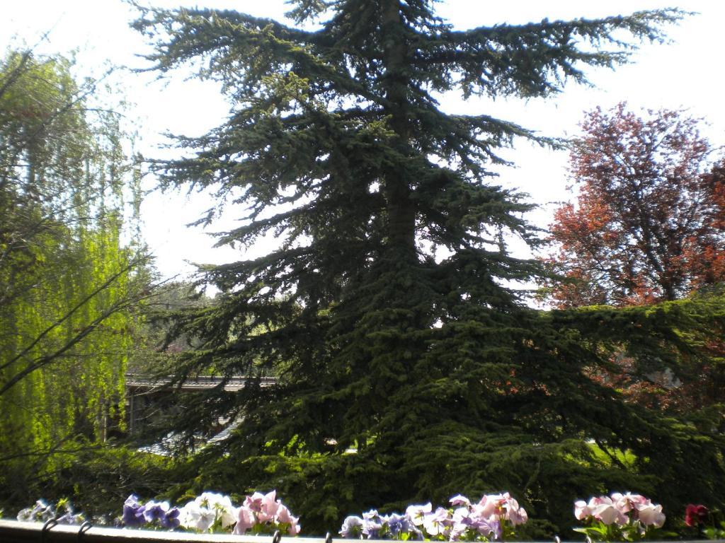 הוילה Sainte-Genevieve-les-Gasny Aux Marguerites חדר תמונה
