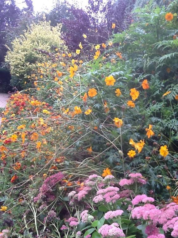 הוילה Sainte-Genevieve-les-Gasny Aux Marguerites מראה חיצוני תמונה